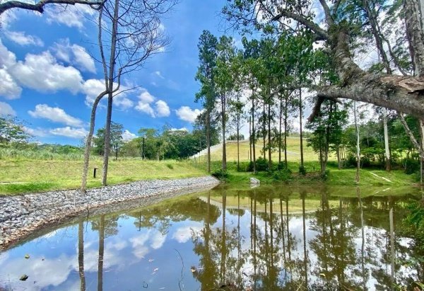 Terreno - Venda - Granja Viana - Cotia - SP