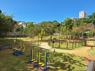 Vista bosque