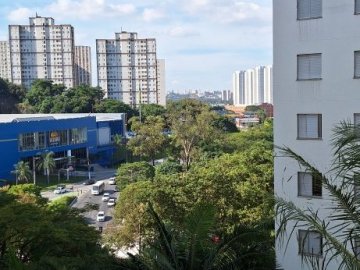 Vista Sacada